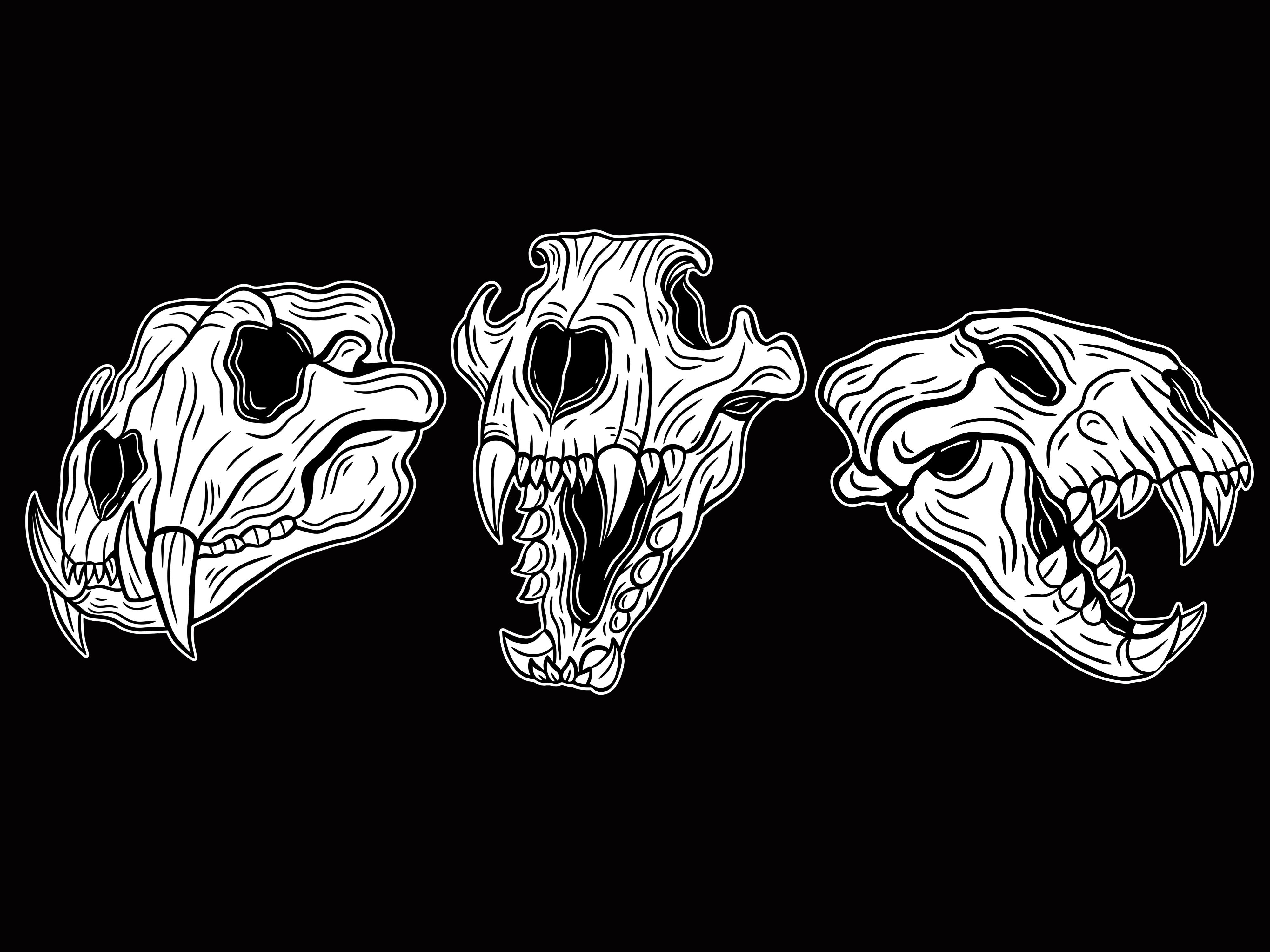 Set Dark Illustartion Skull Bones