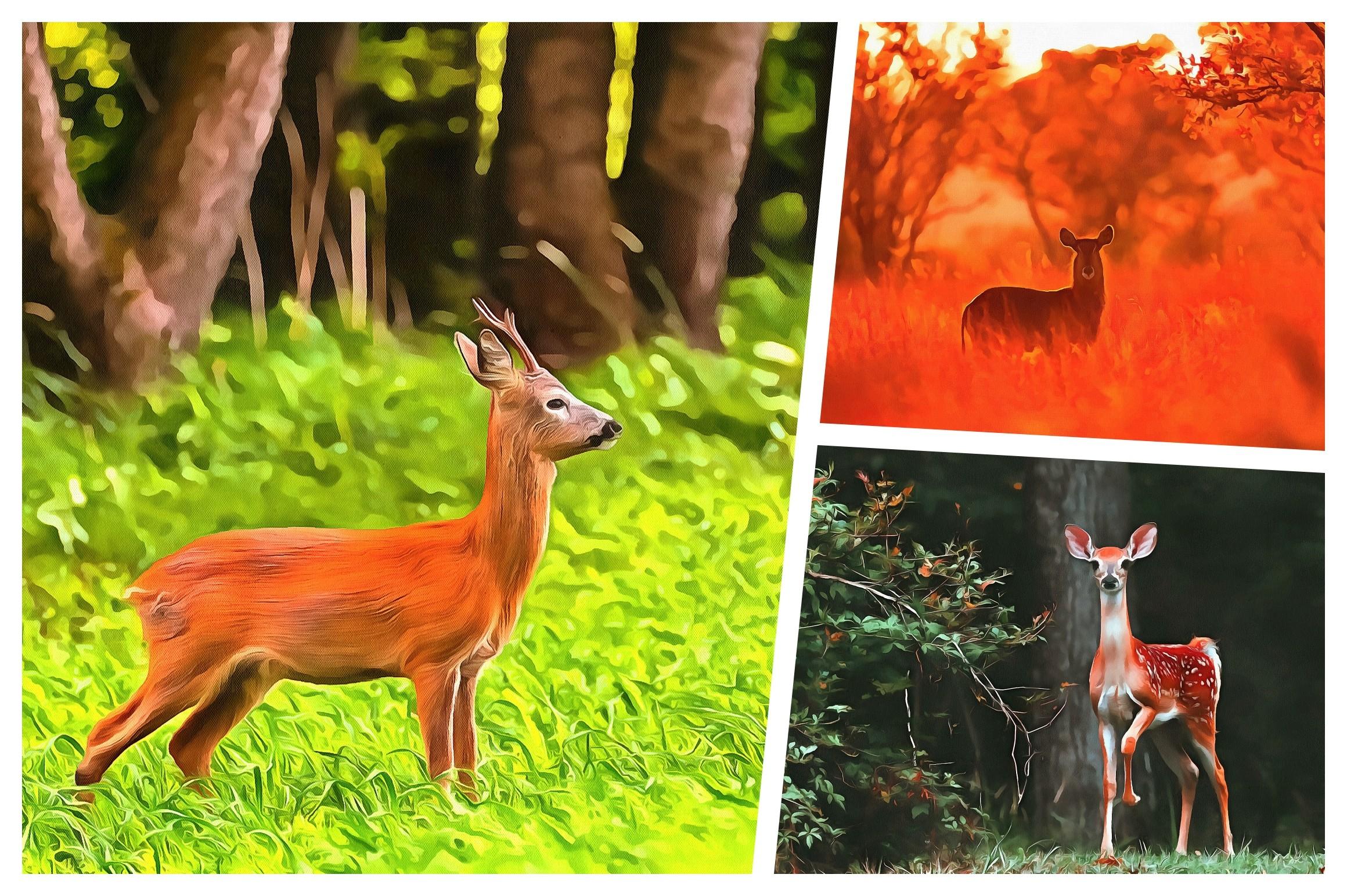 Hunting Background Watercolor