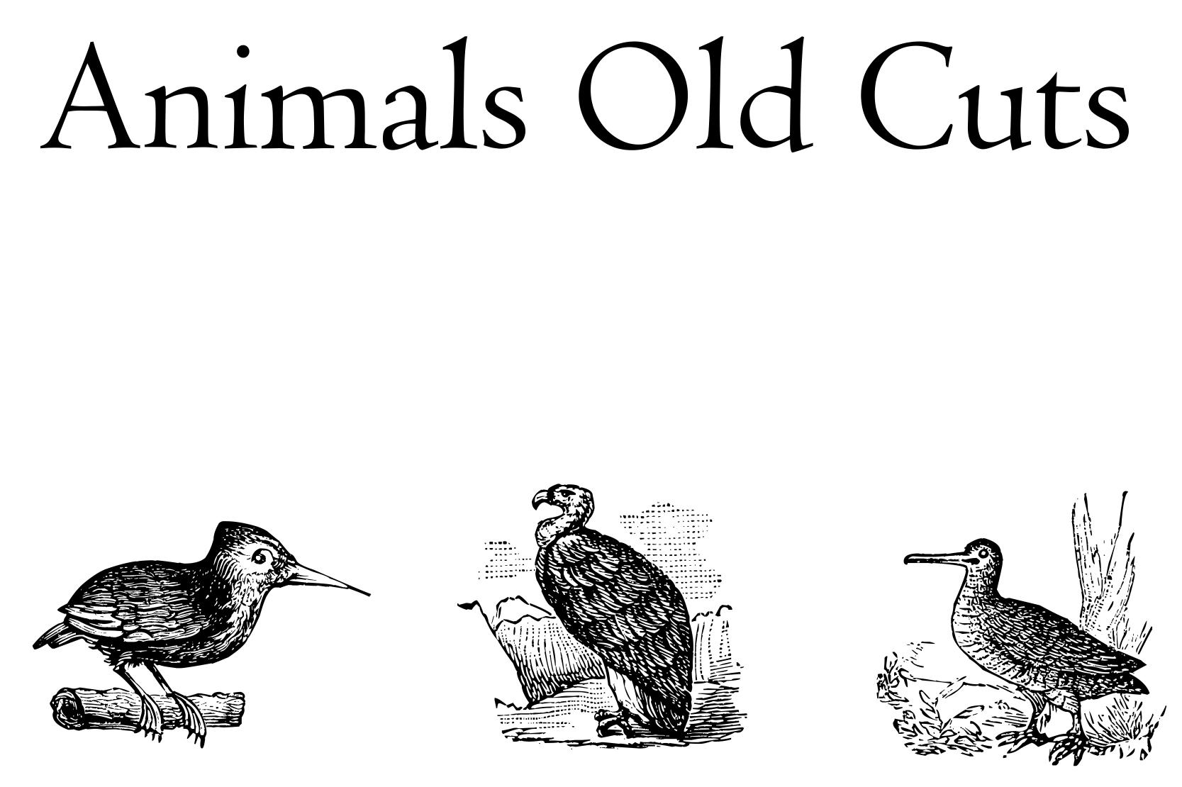 Animals Old Cuts Font