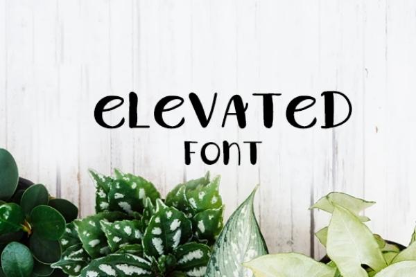 Elevated Font