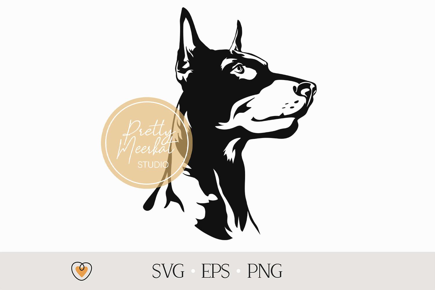 Doberman Pinscher