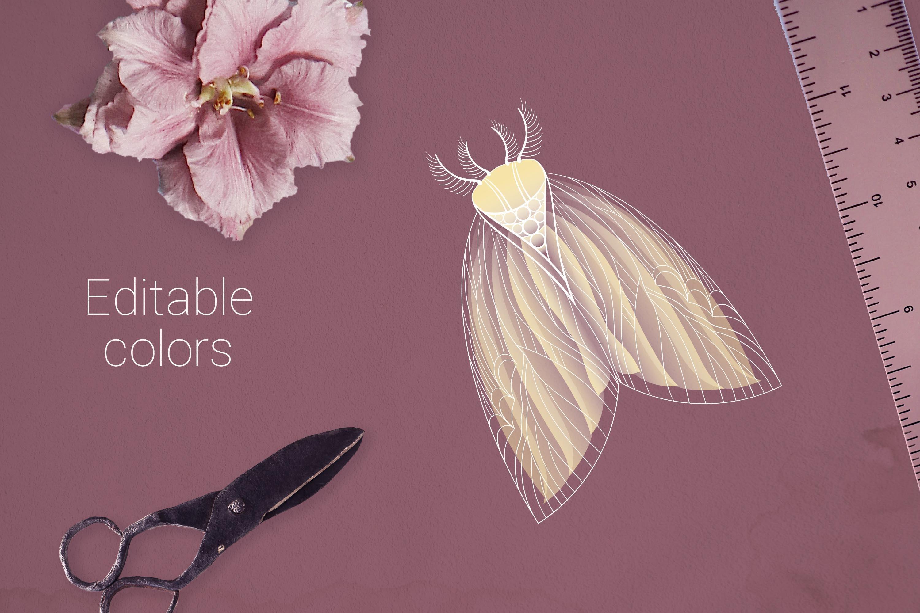 Moth Vector Drawing