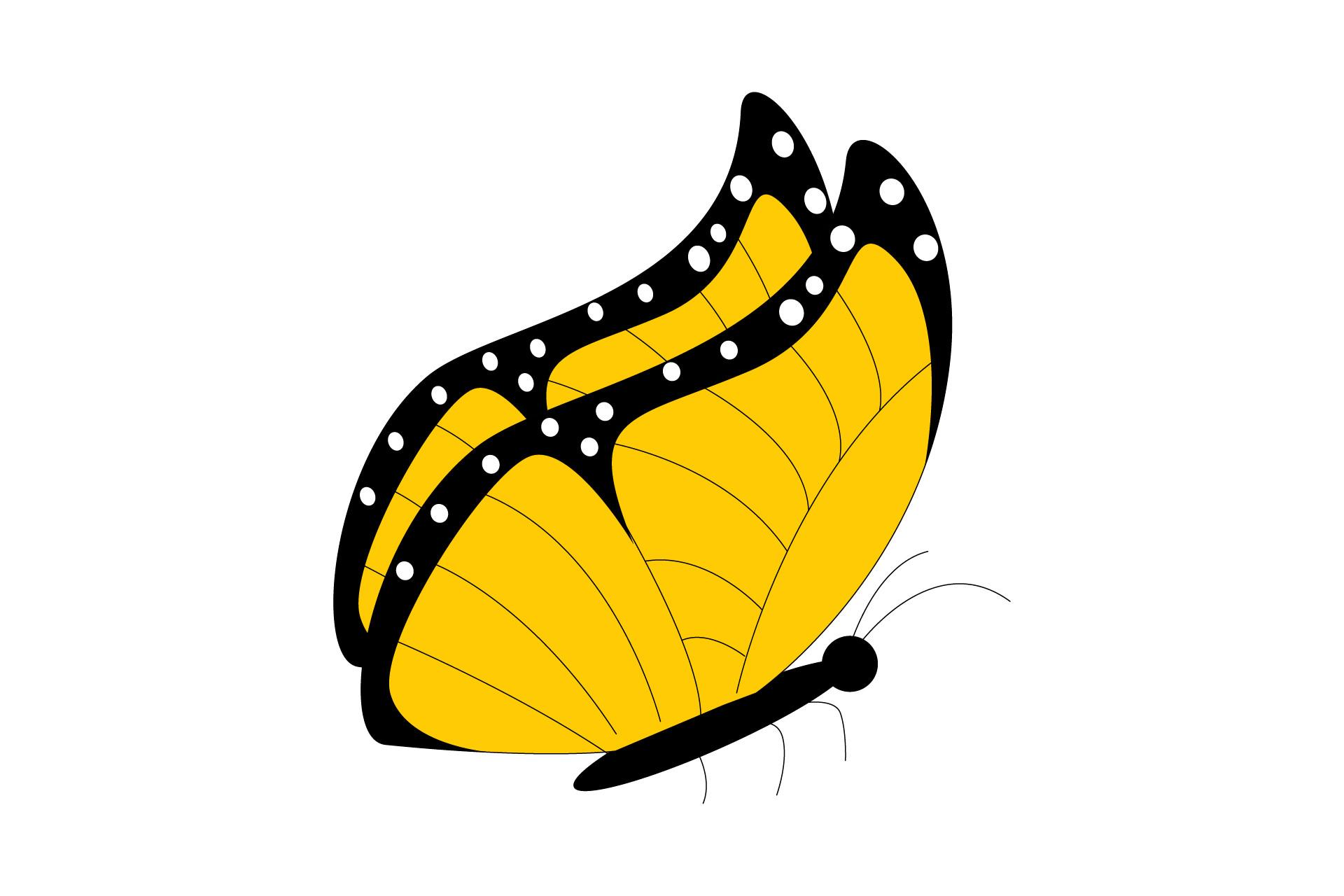 Butterfly Summer Decorative