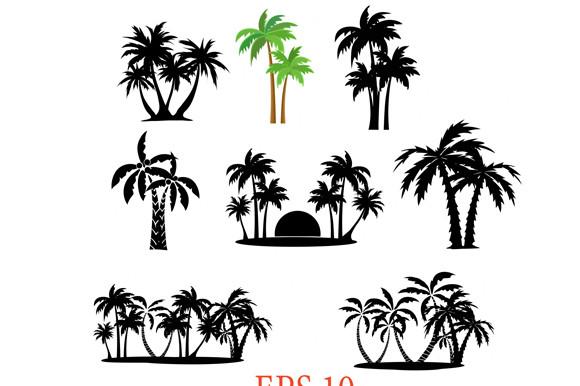 Palm  Bundle. Coconut Palm Tree