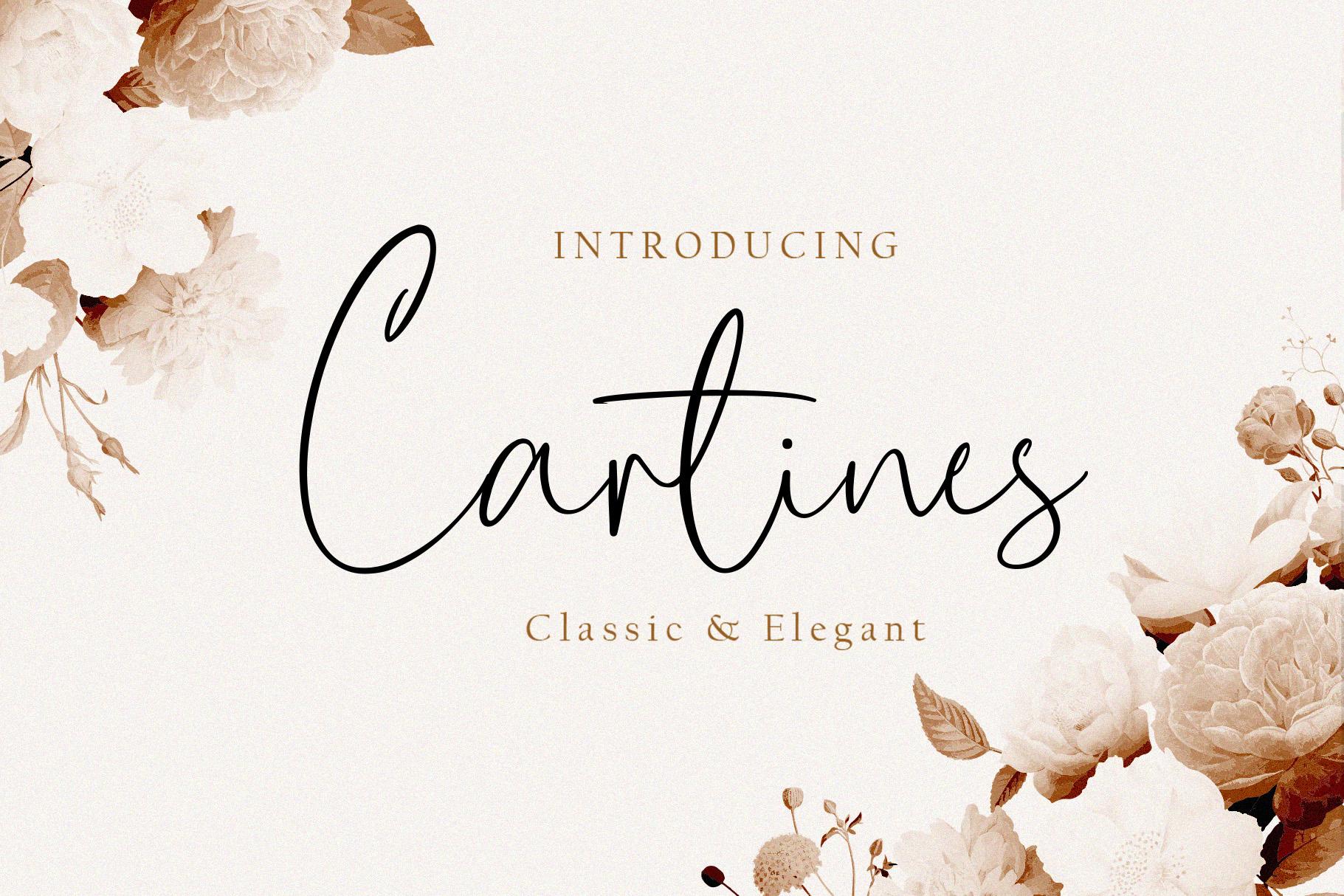 Cartines Font