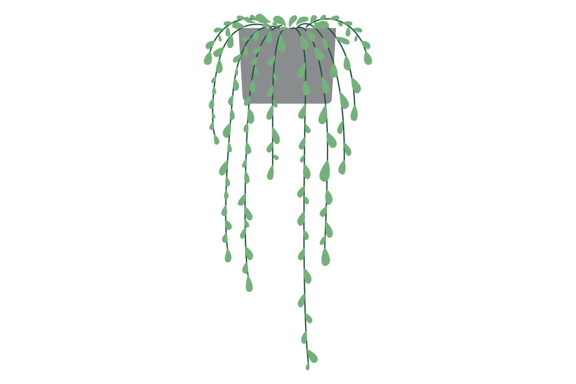 Plant Design Vektor