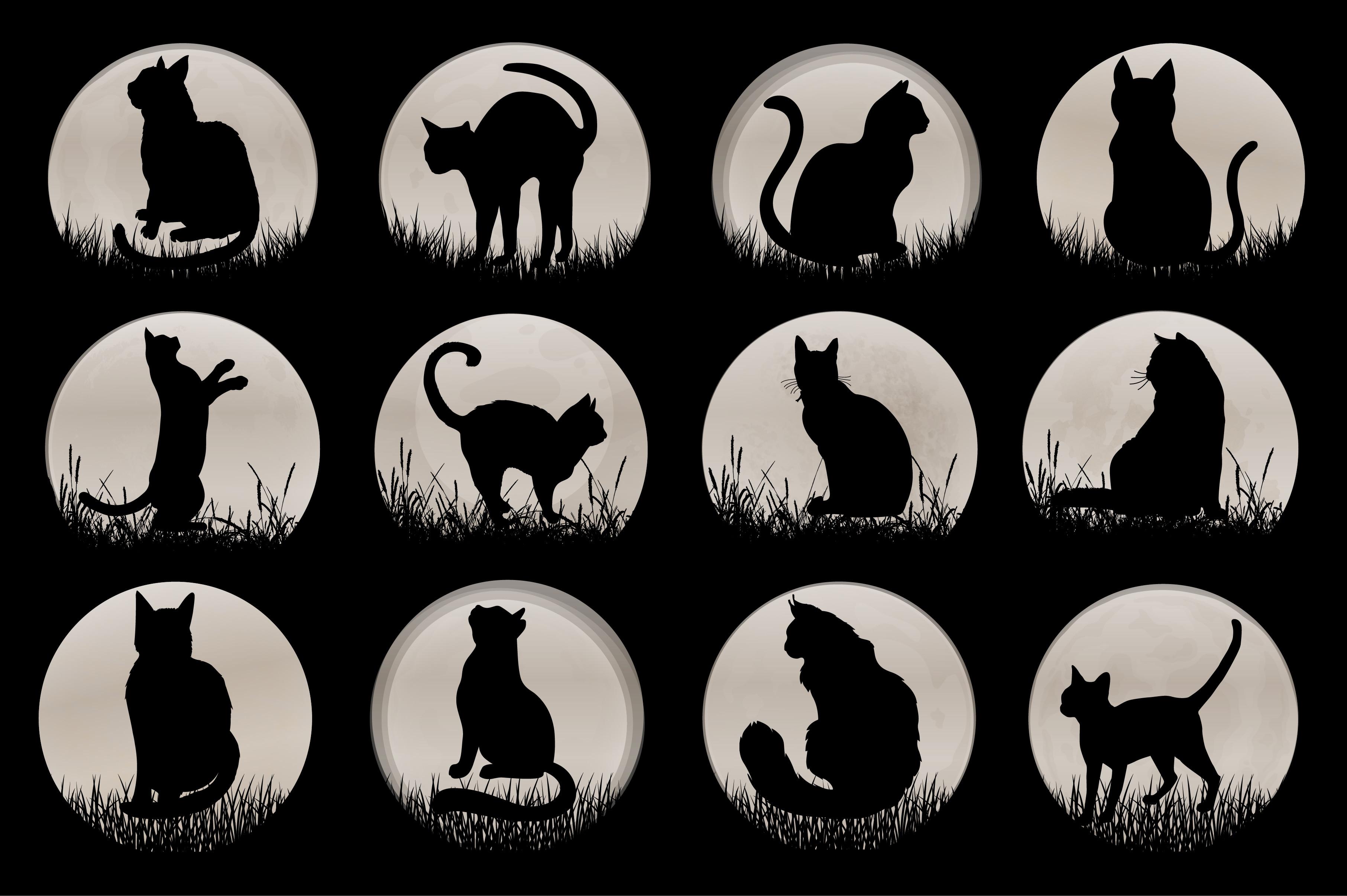 Cat T-Shirt Design Graphics