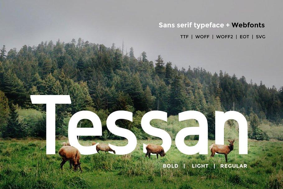 Tessan Font