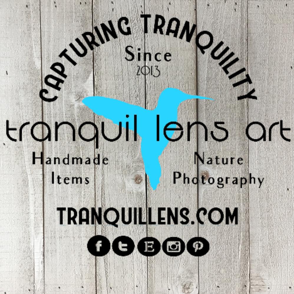 Tranquil Lens Art