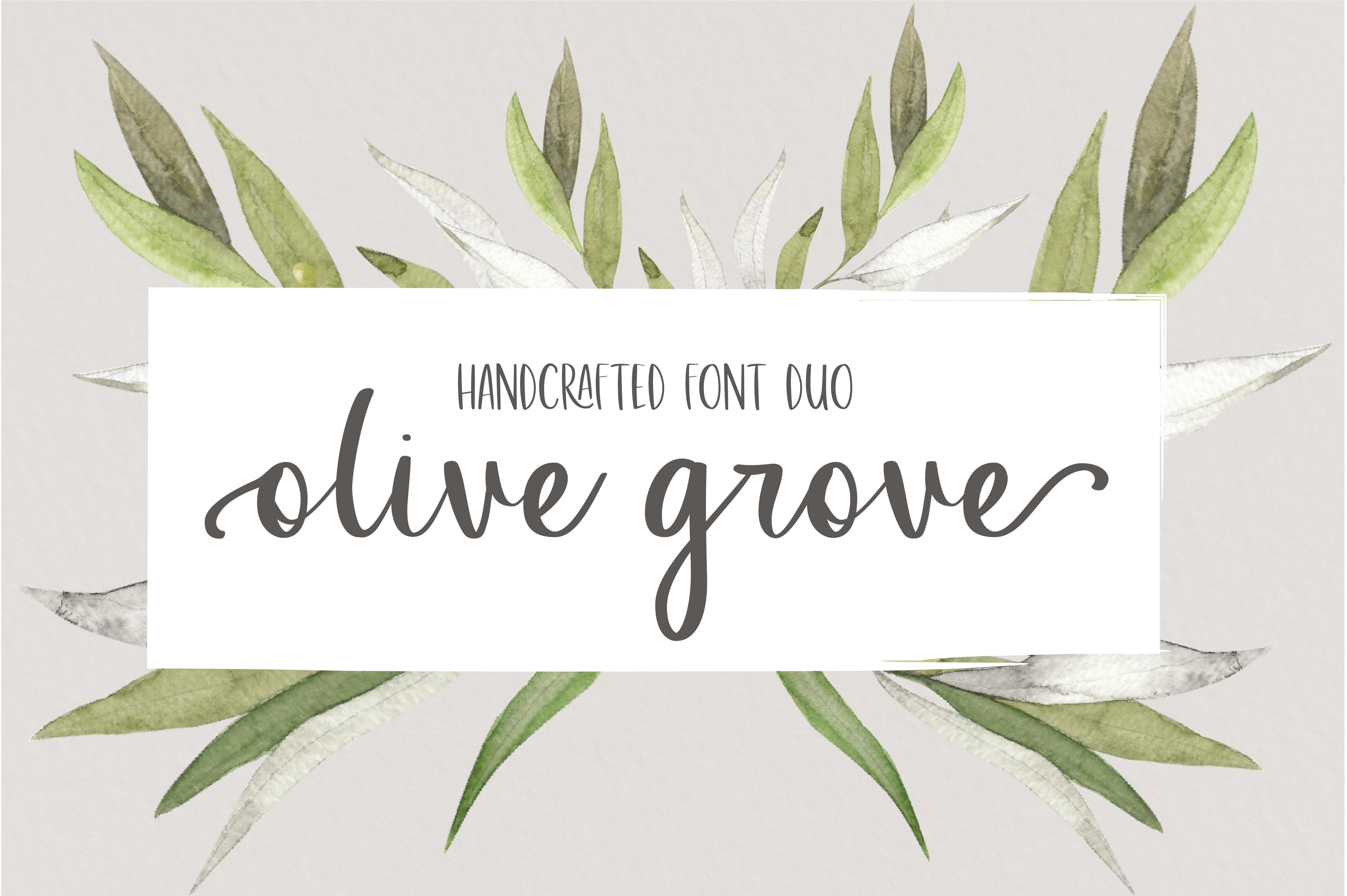 Olive Grove Font