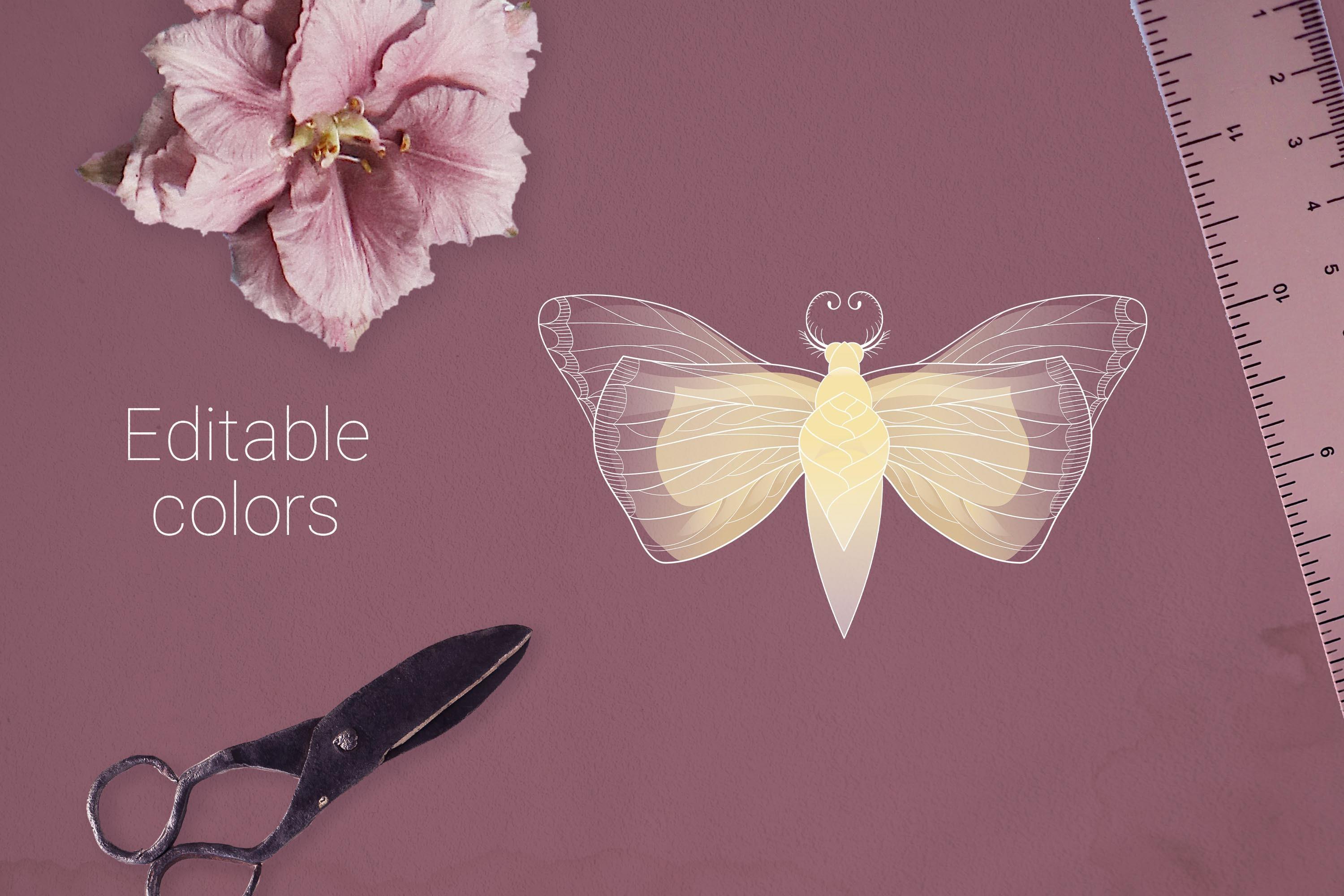Beautiful Moth Vector Element