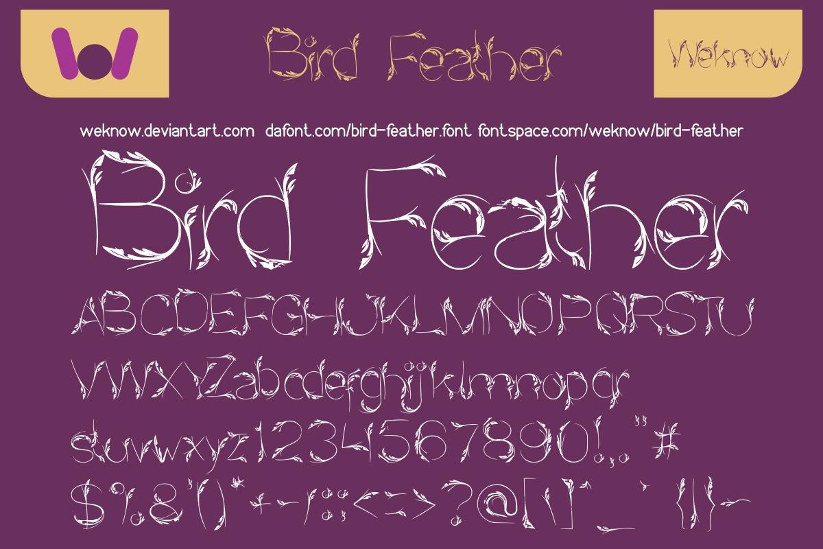 Bird Feather Font