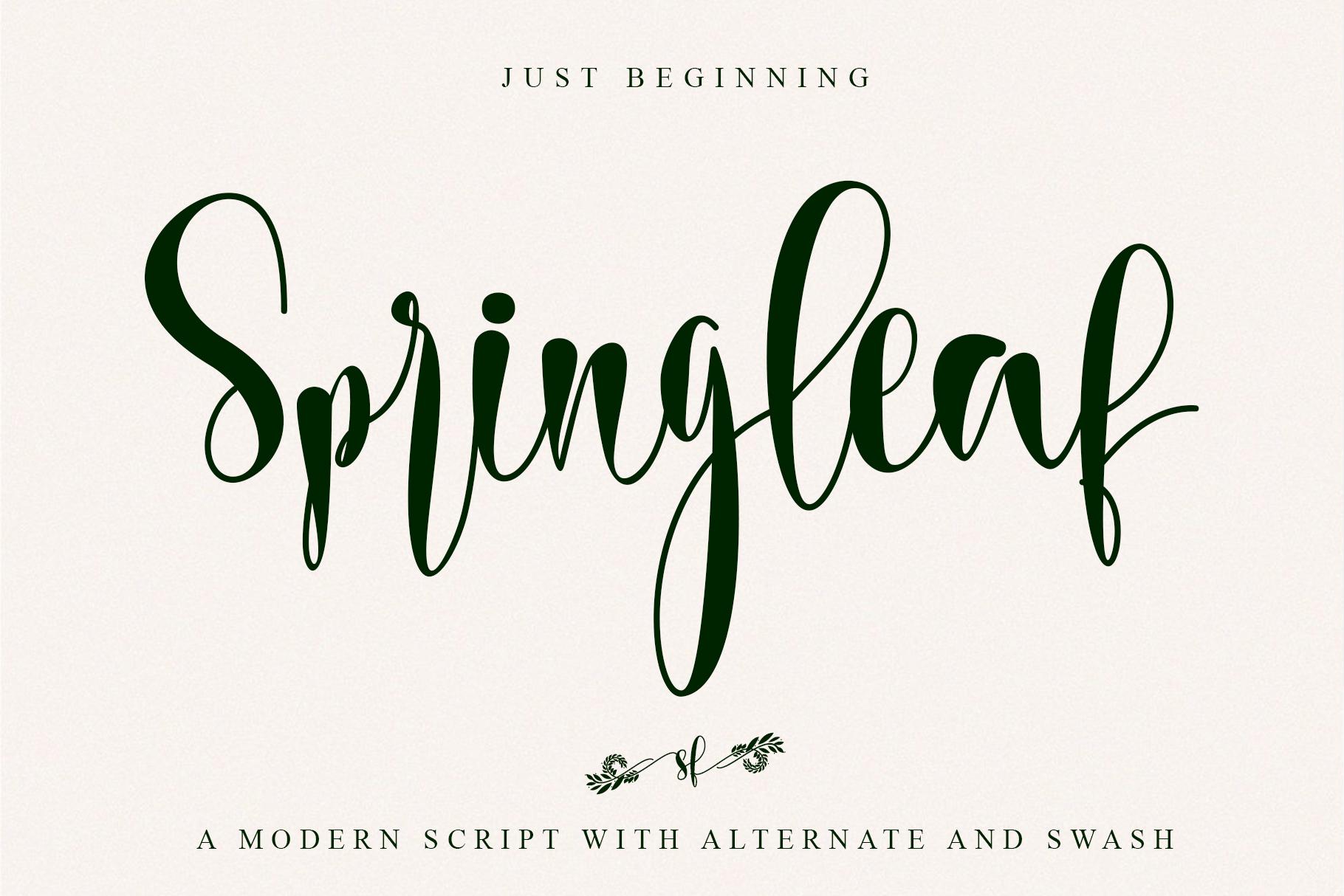 Springleaf Font