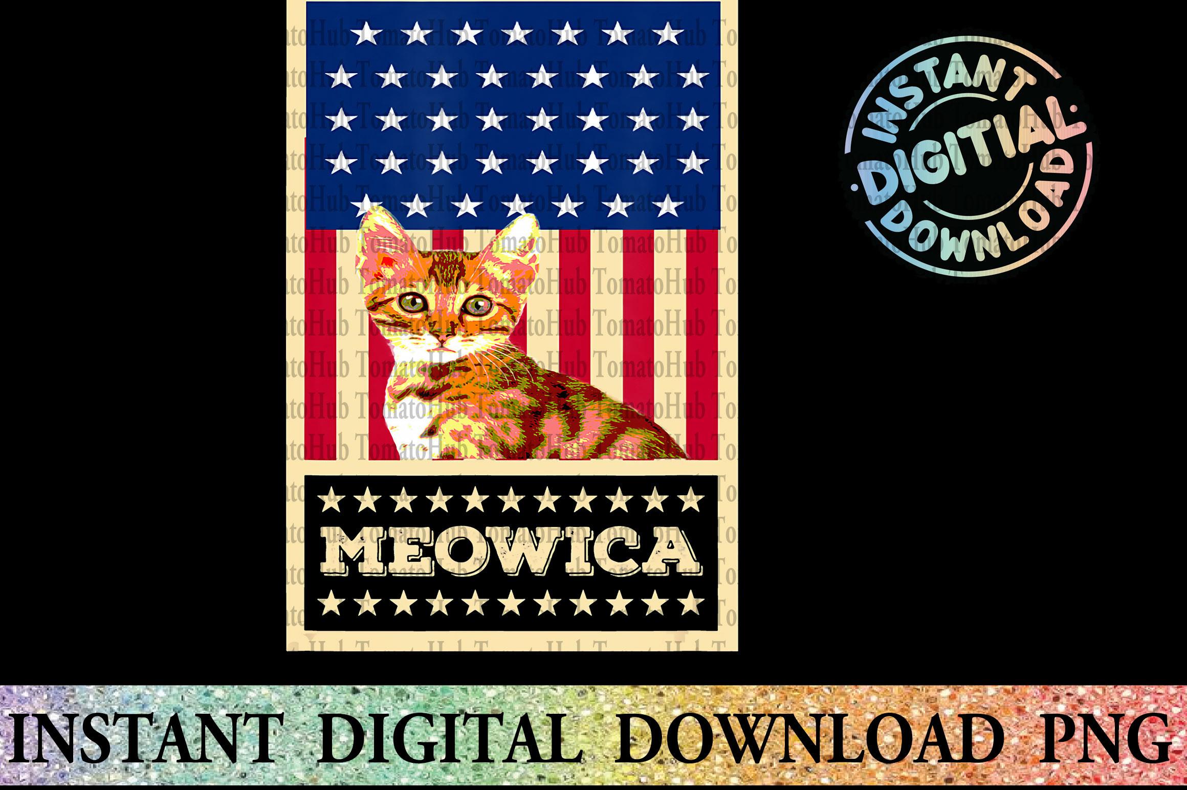 Cat Lover Shirt - USA Flag PNG