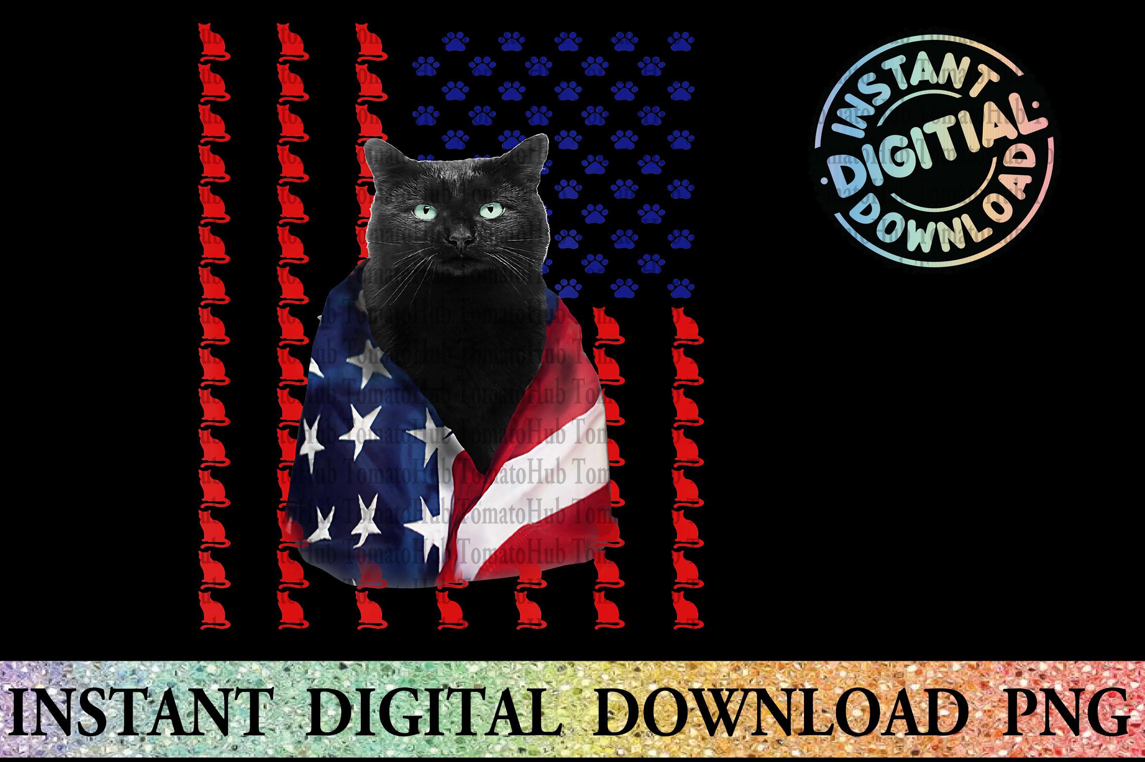 Cat 4th of July Meowica American Flag T
