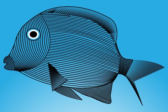Fish Line Art Template