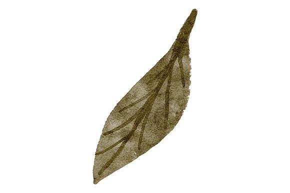 Leaf Watercolor Greenery Painting