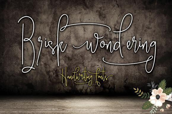 Brisk Wondering Script Font