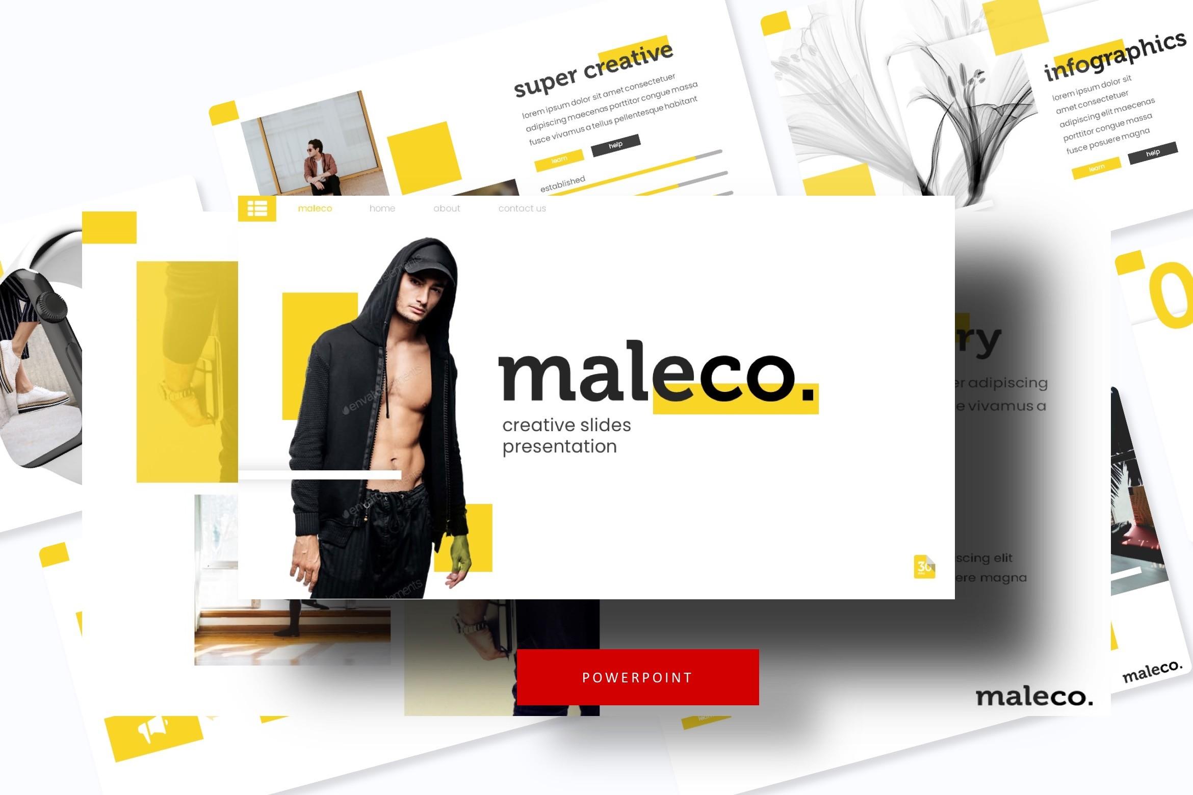 Maleco Power Point Template
