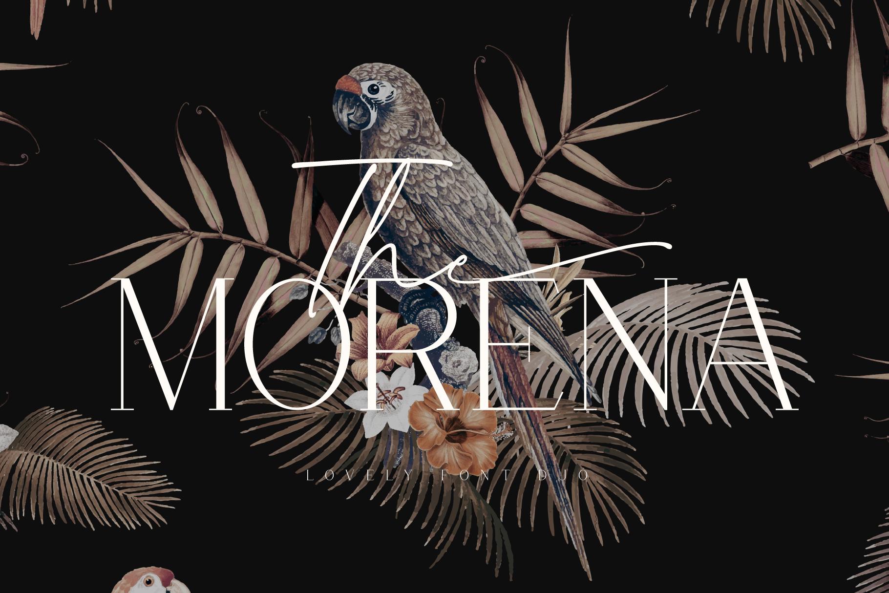 Morena Font