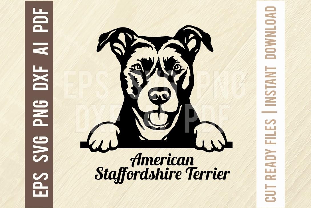 American Staff Terrier Peeking Dog