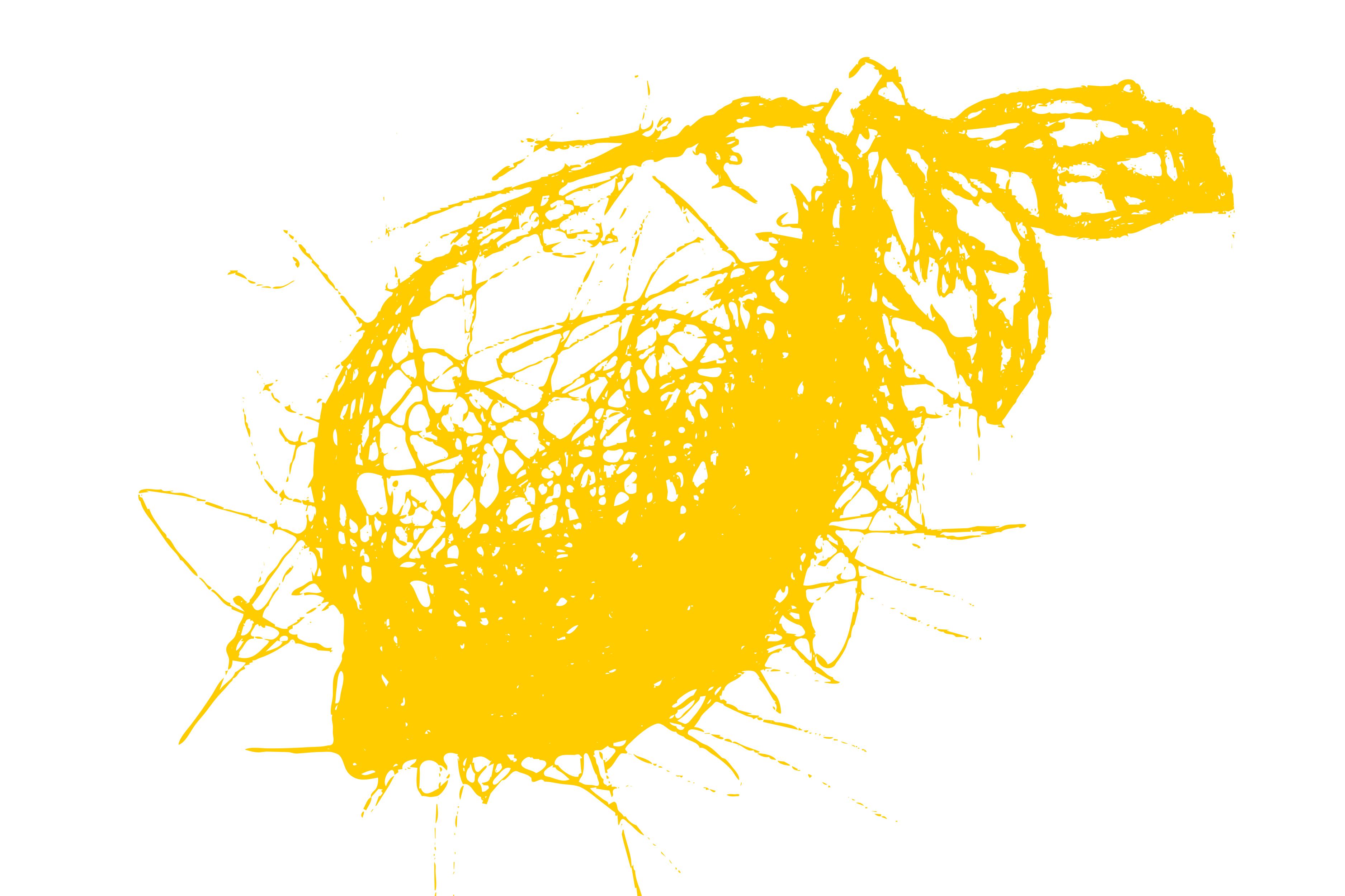 Lemon Scribble Art