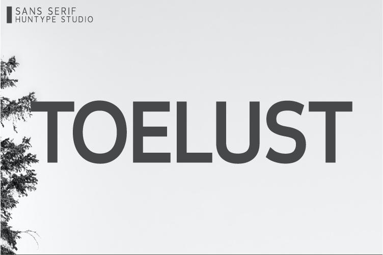 Toelust Font