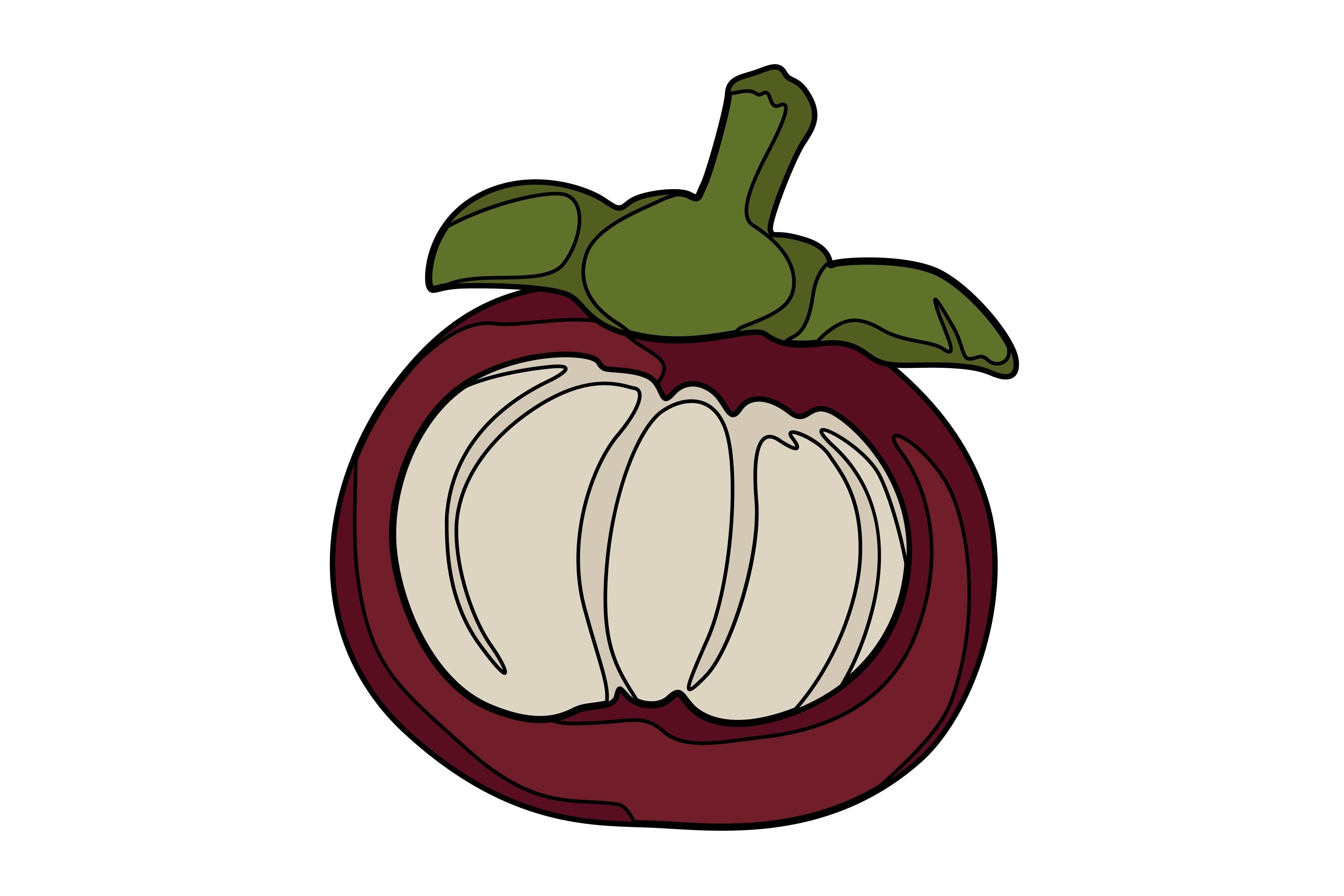 Fruit Mangosteen Sticker Vector