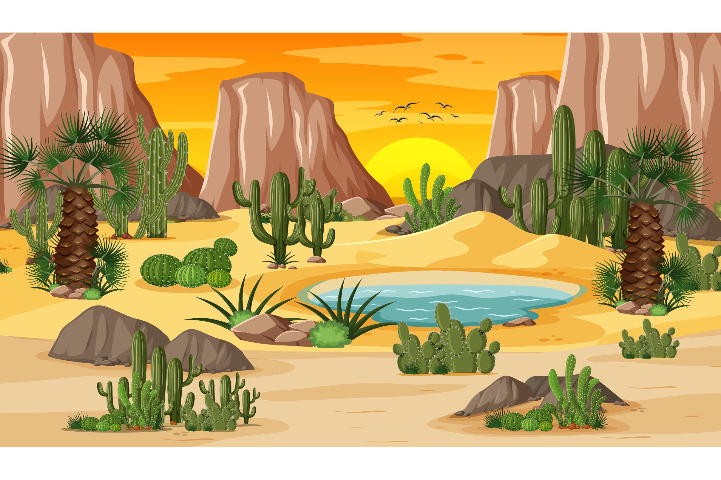 Desert-forest-landscape-sunset-scene-wit