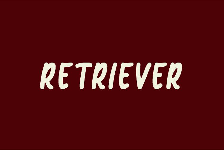 Retriever Font