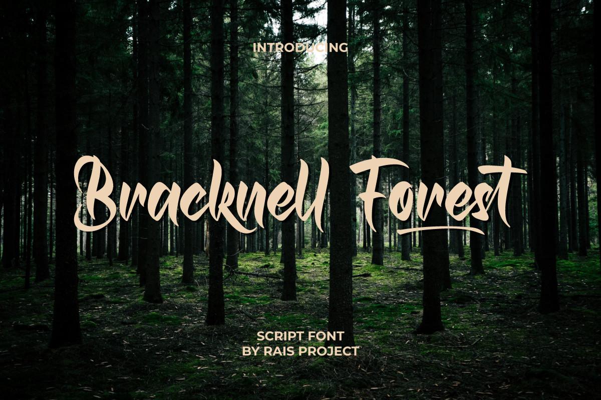 Bracknell Forest Font