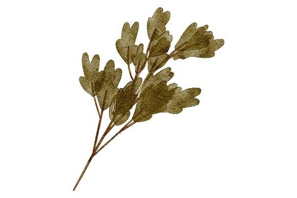 Watercolor Greenery Leaf Element Paint