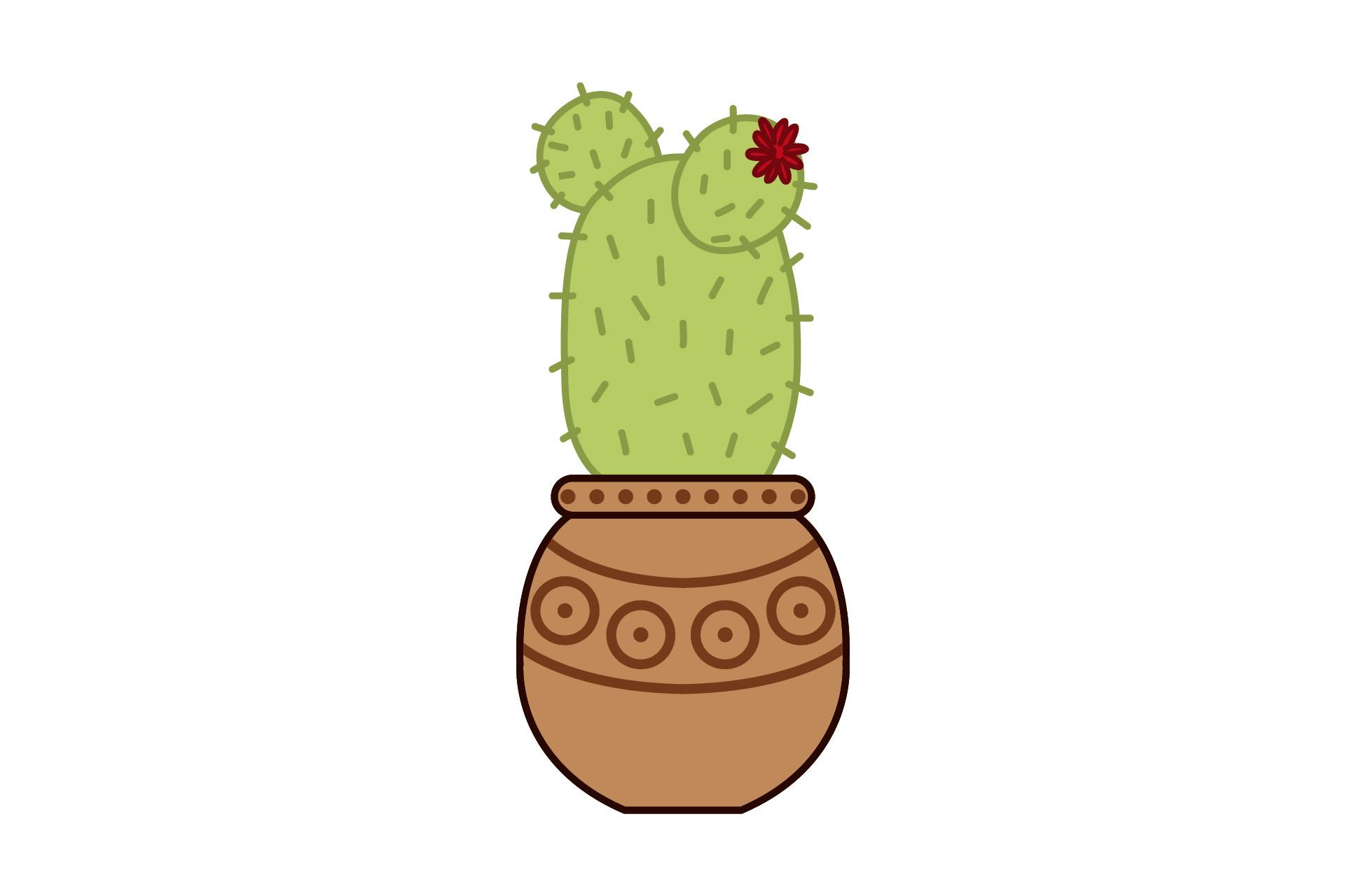 Plant ?