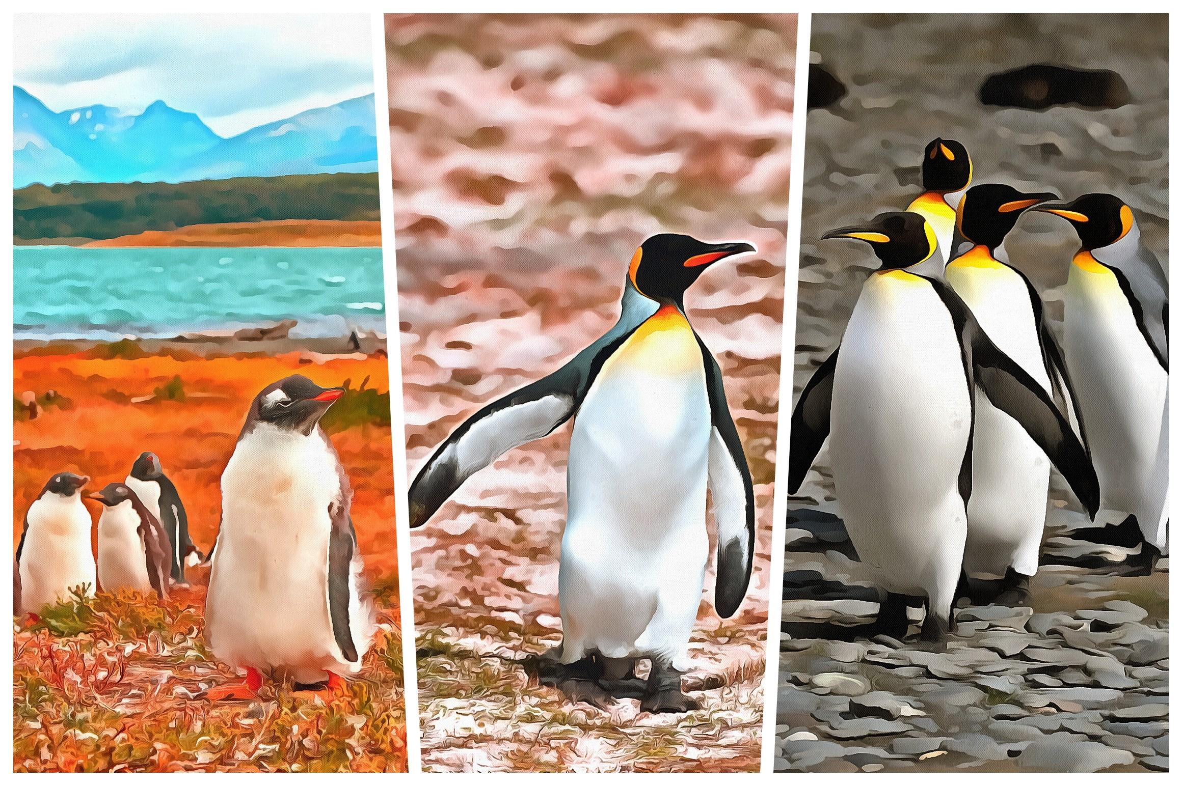 Penguin Background Watercolor