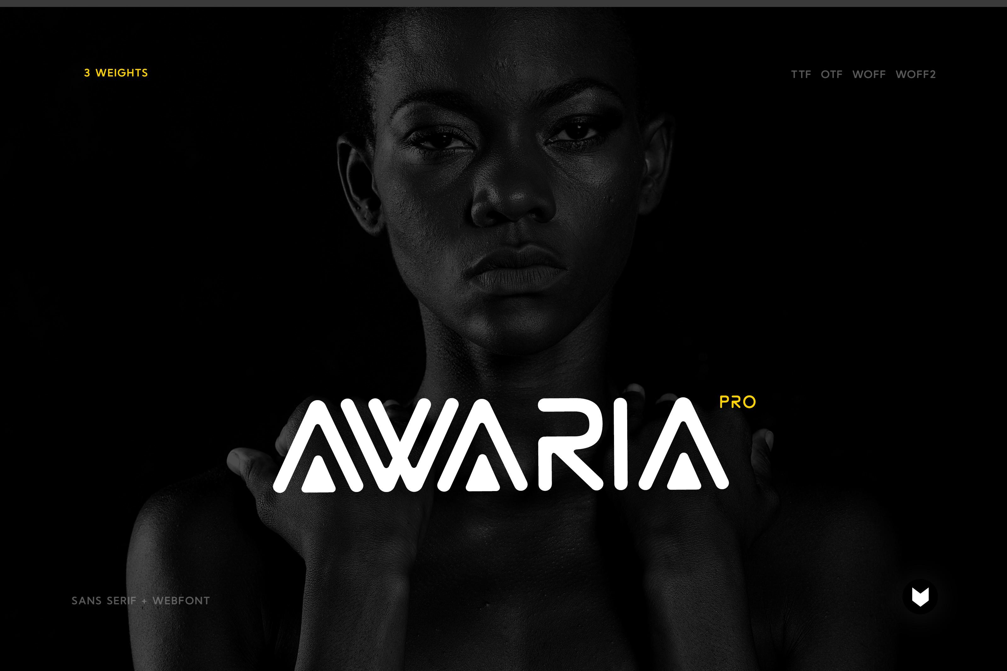 Awaria Pro Font