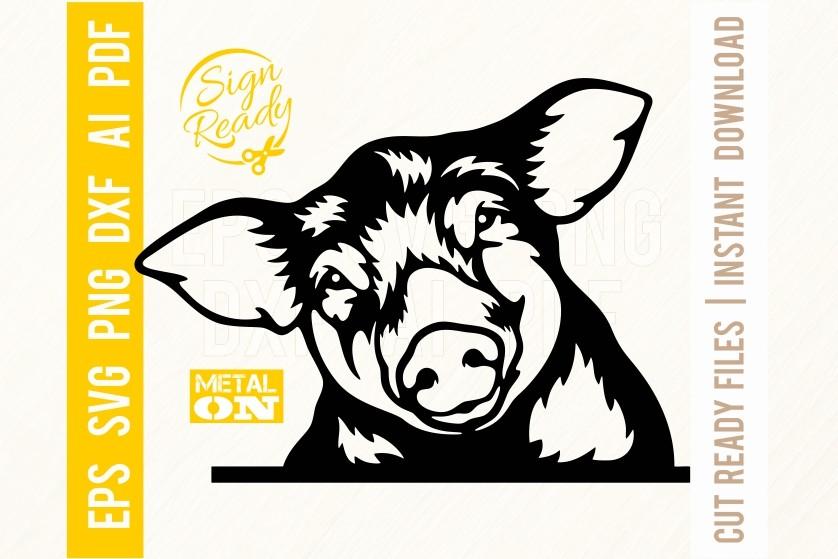 Pig