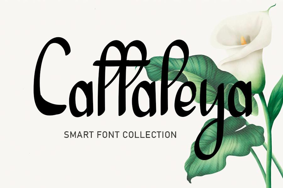 Cattaleya Font