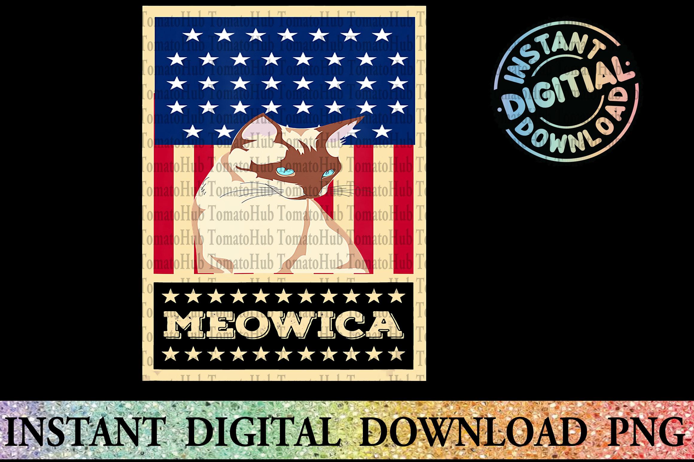 Cat Lover Shirt - USA Flag PNG