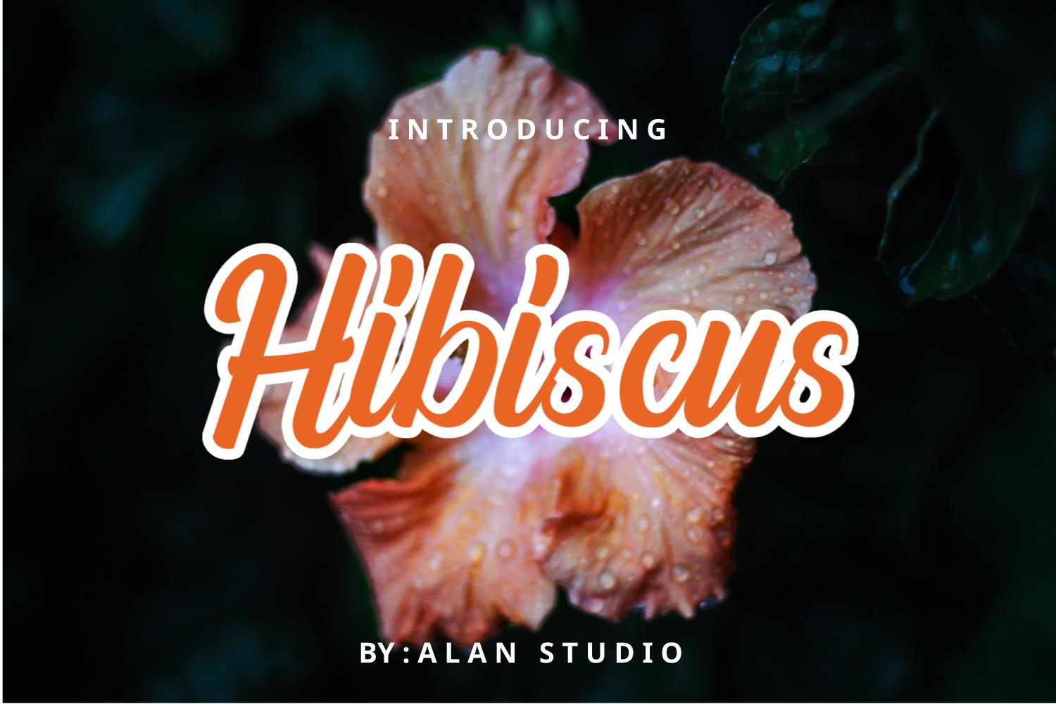 Hibiscus Font