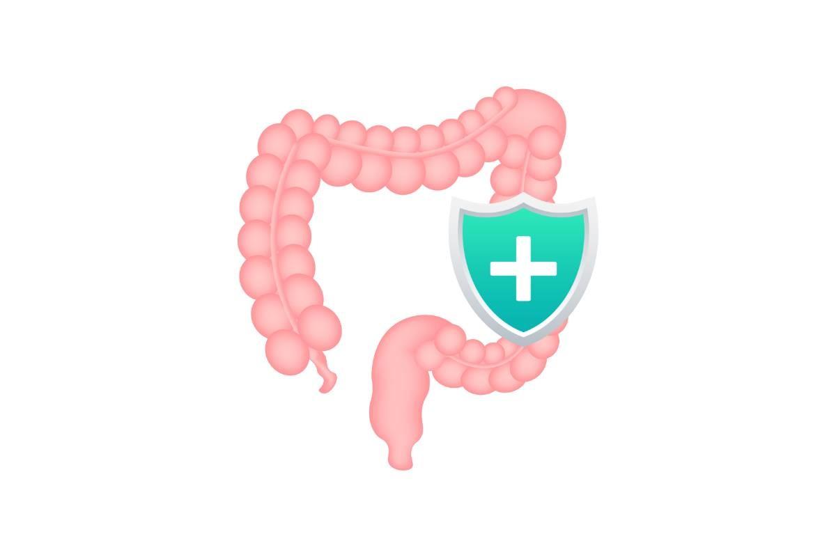 Intestines Protection, Healthy Protected