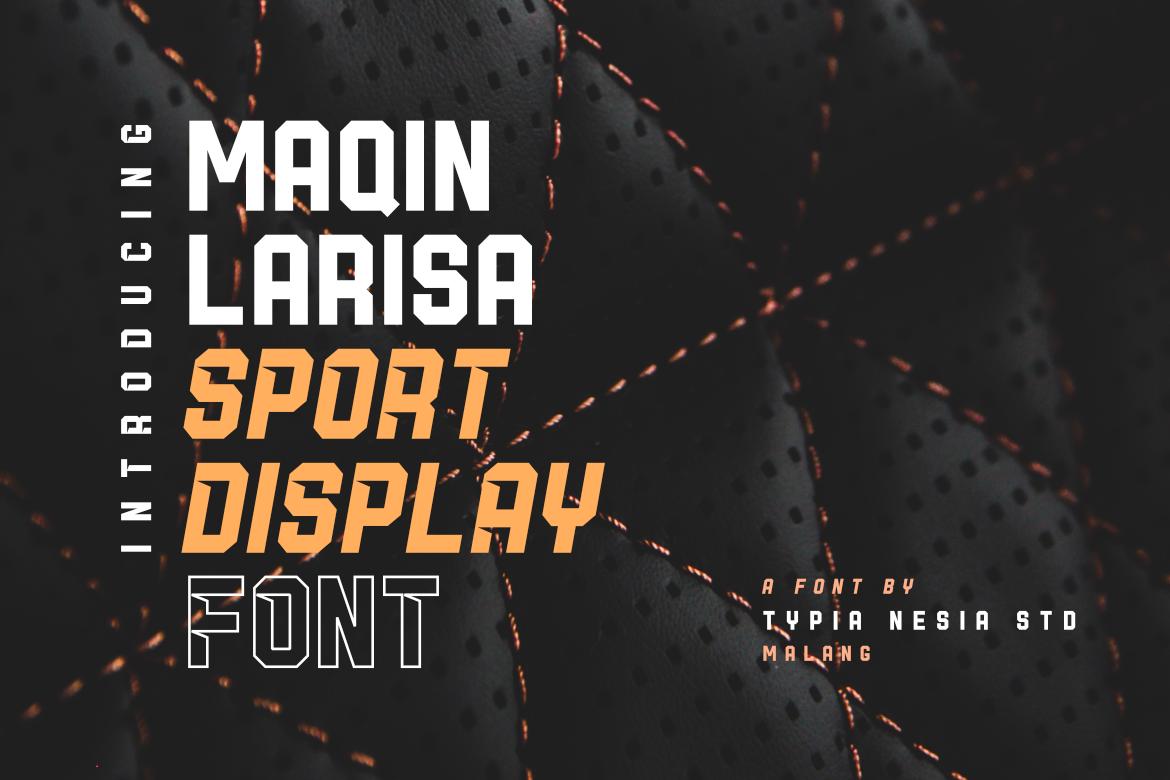 Maqin Larisa Font