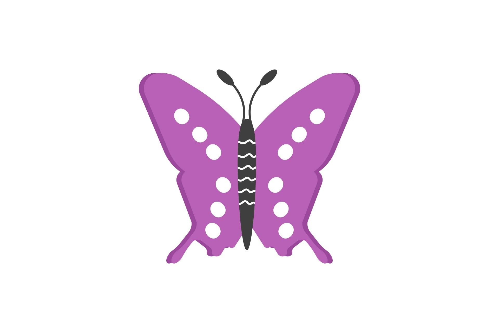 Summer Butterfly Nature
