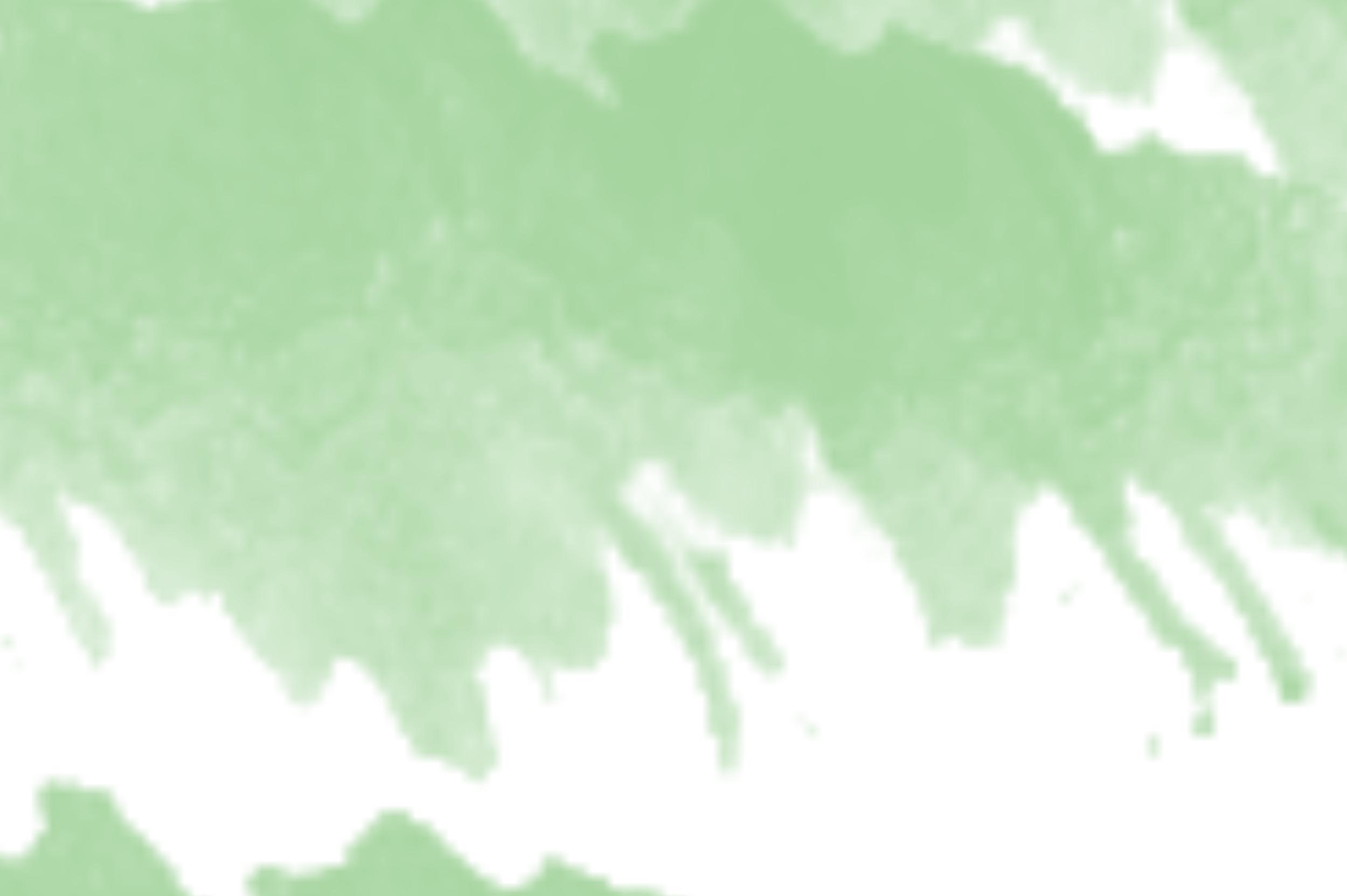 Colorful Watercolor Transparent
