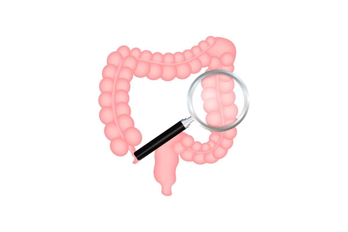Intestines Seeing and Protection, Health