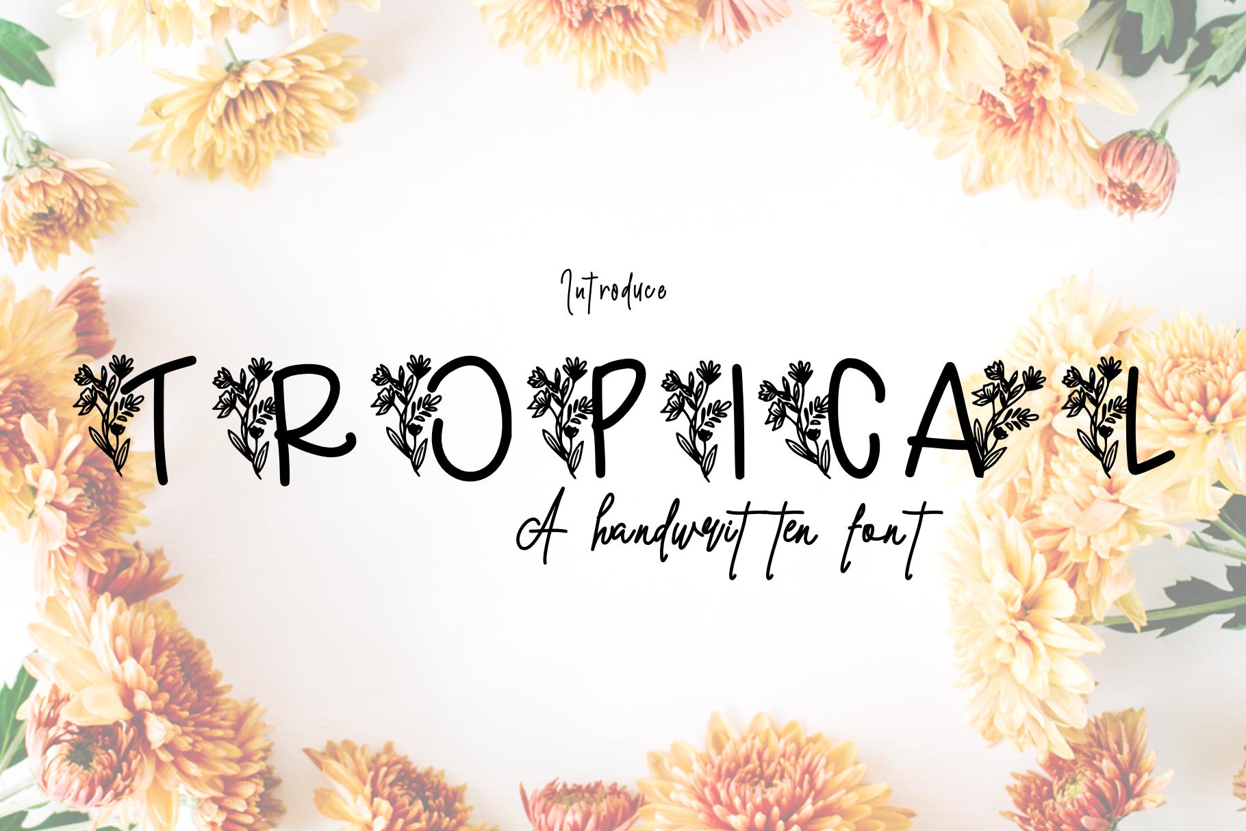 Tropical Font