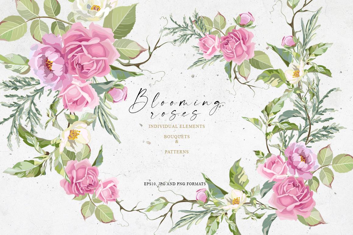 Blooming Roses
