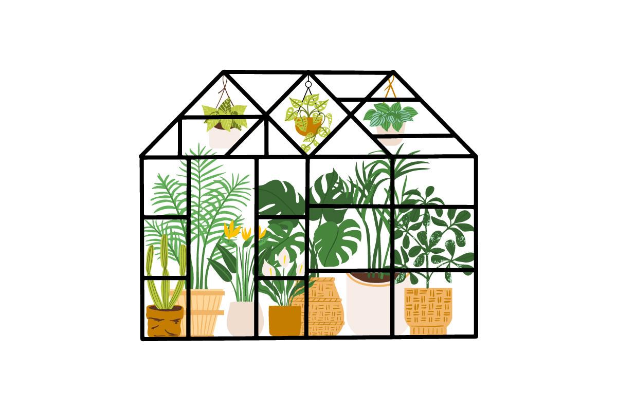 Greenhouse Glasshouse Hothouse Gardening