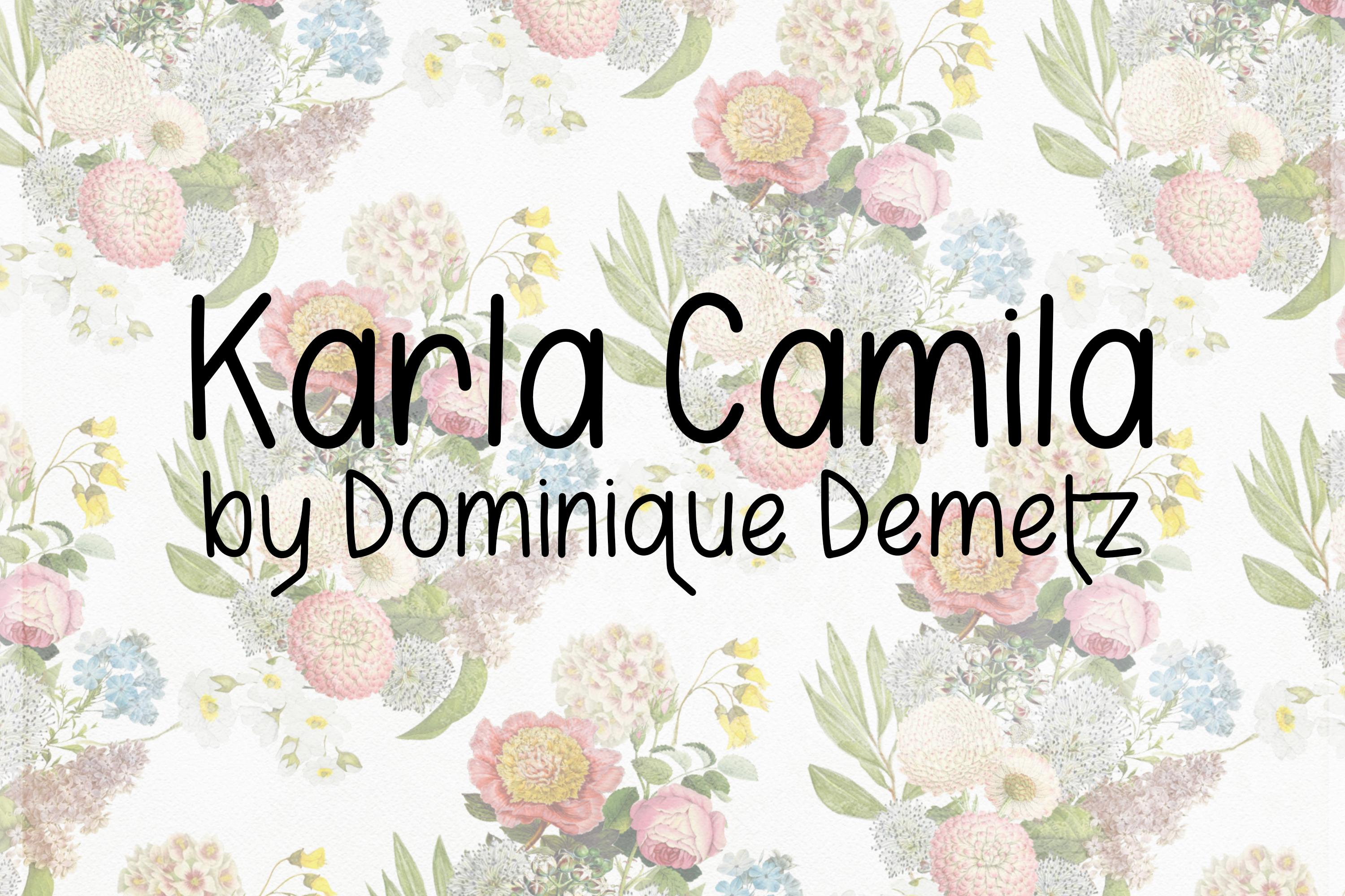 Karla Camila Font