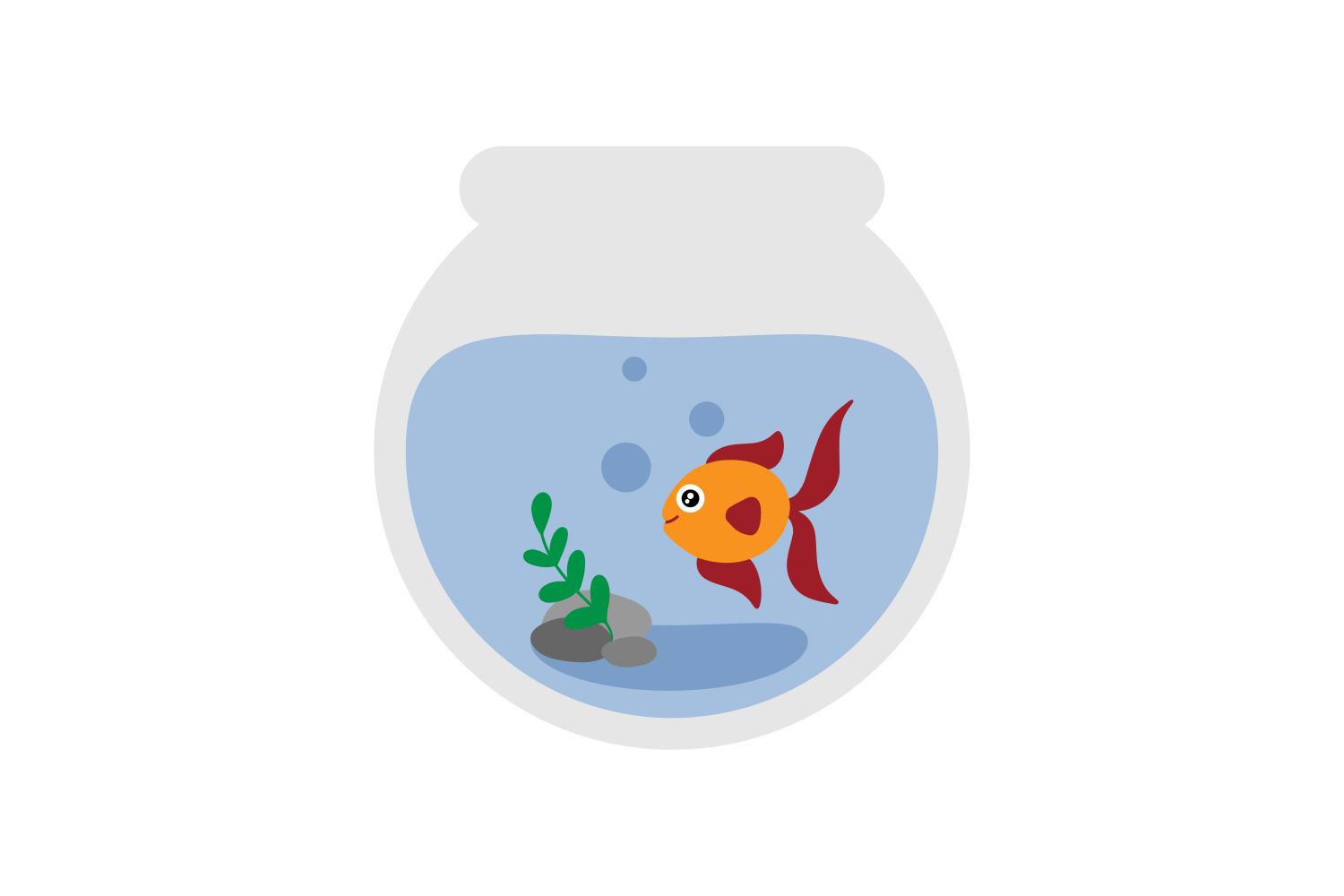 Fish in a Bowl