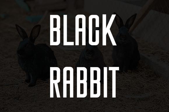 Black Rabbit Font